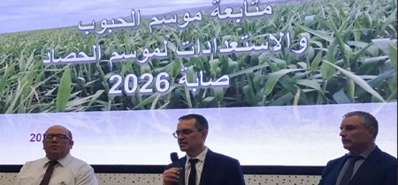 صابة الحبوب.. حملة وطنية لتعديل آلات الحصاد والوقاية من الحرائق